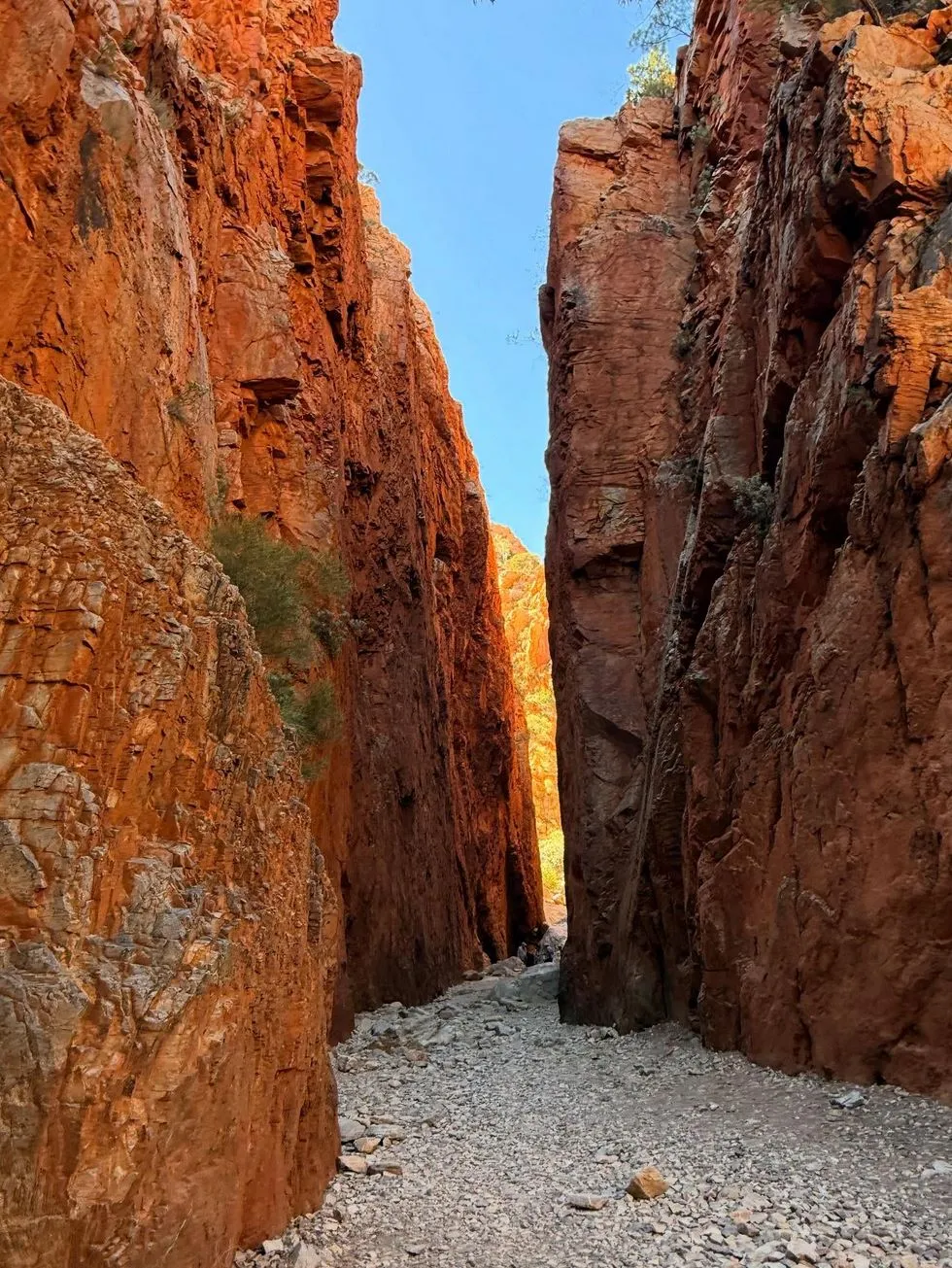 Vixens from Hell | Is There a Bus from Uluru to Alice Springs? 4 Day Alice Springs Uluru Tour,