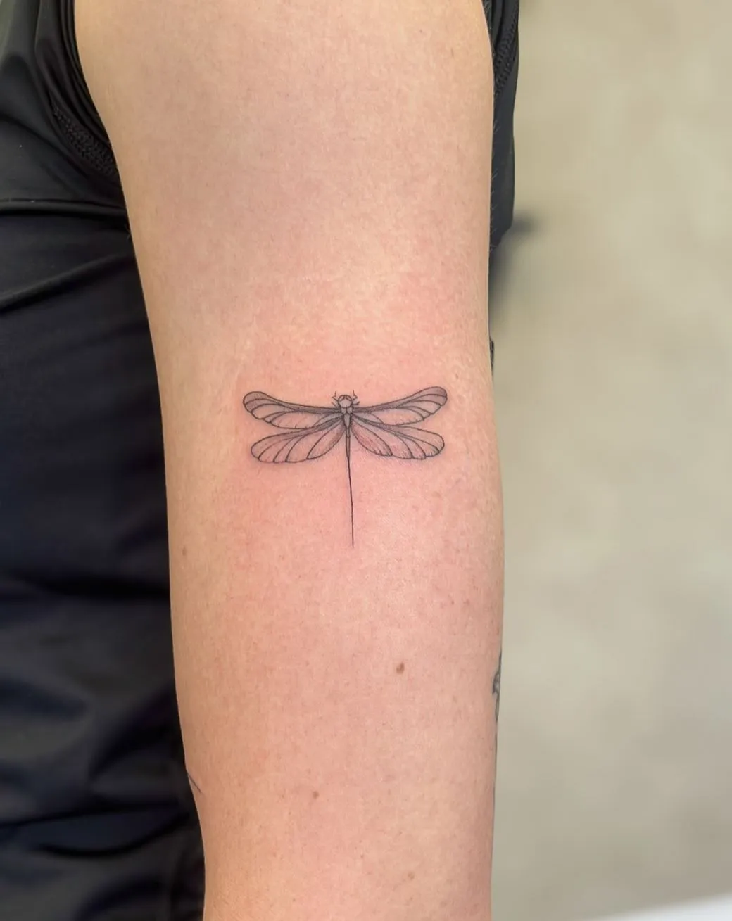 Vixens from Hell | What Should You Look for in a Fine Line Tattoo Course? Accreditation & Hygiene Come First