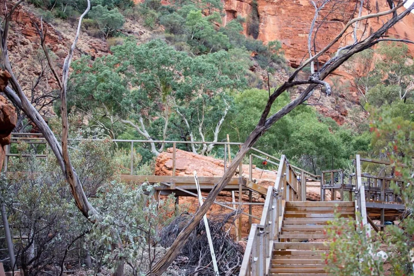Vixens from Hell | Which Is Better for First-Timers — Uluru or Kings Canyon in One Day? Additional Checklist for Your Day Trip
