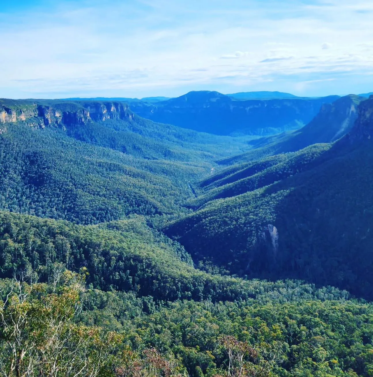 Blue Mountains