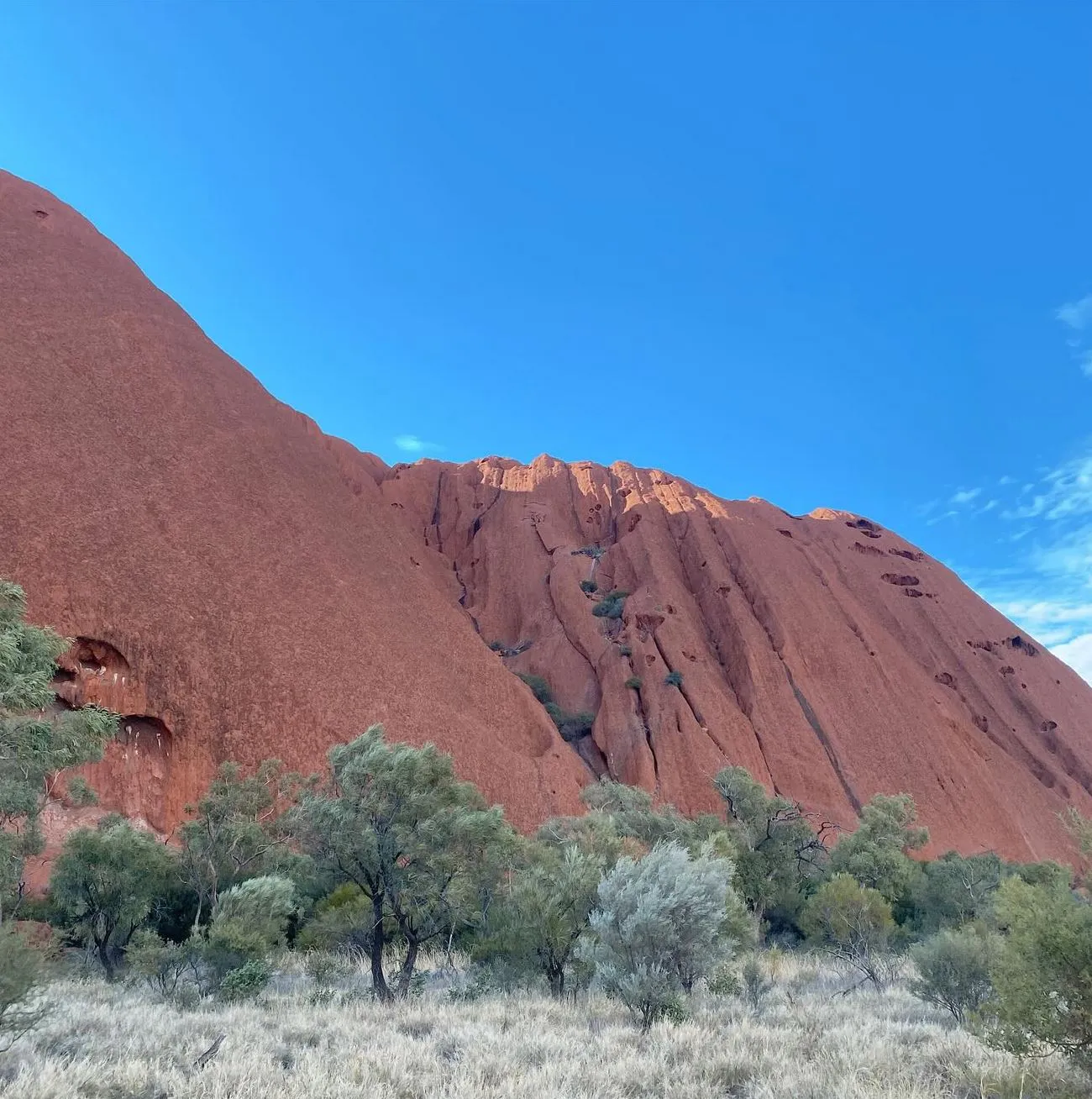 Vixens from Hell | Which Is Better for First-Timers — Uluru or Kings Canyon in One Day? Cultural Significance & Respectful Travel