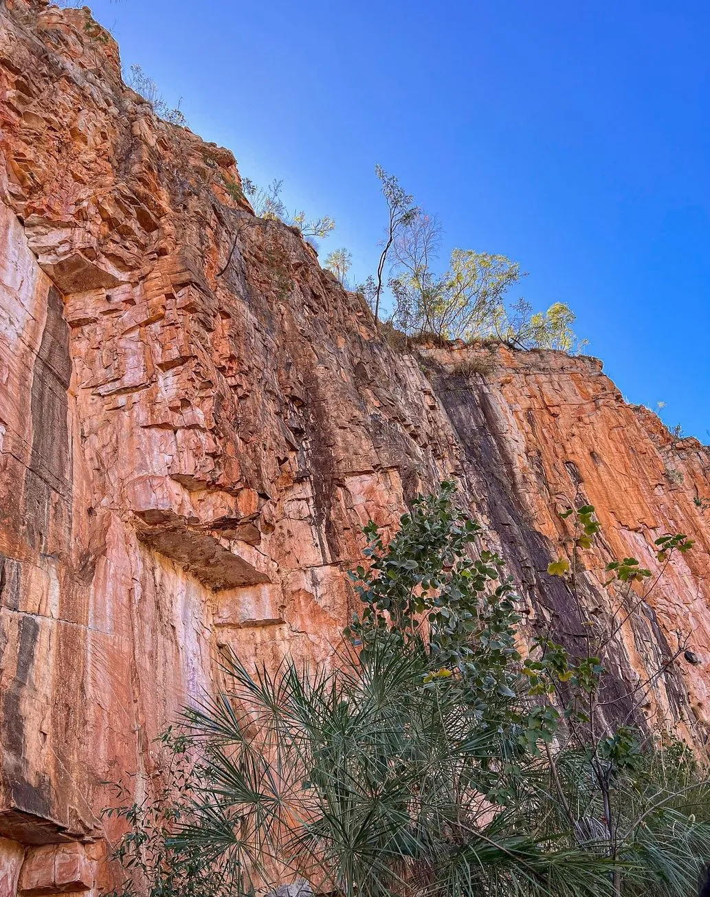 Hiking and Walking Trails