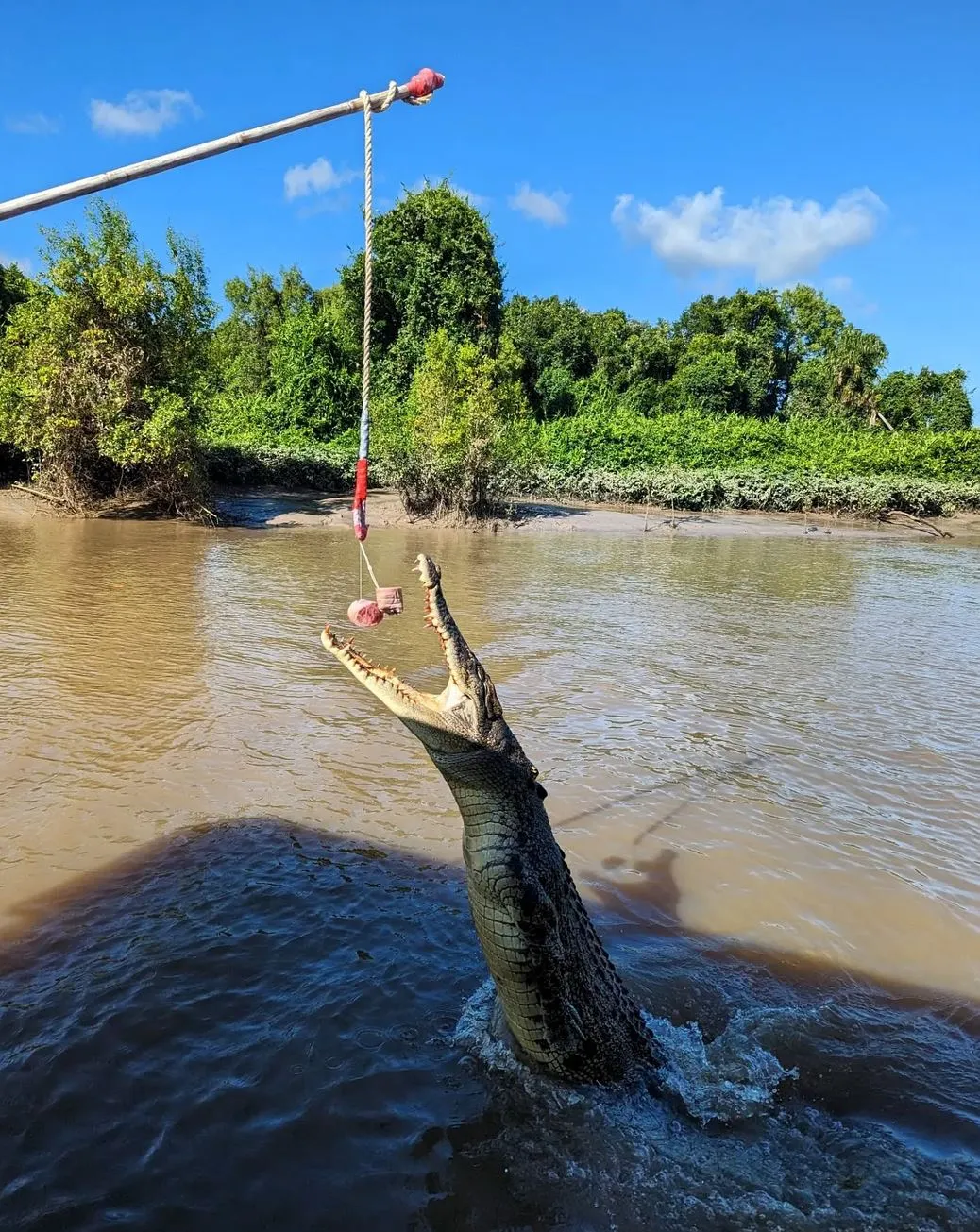 Jumping Crocodile Cruise