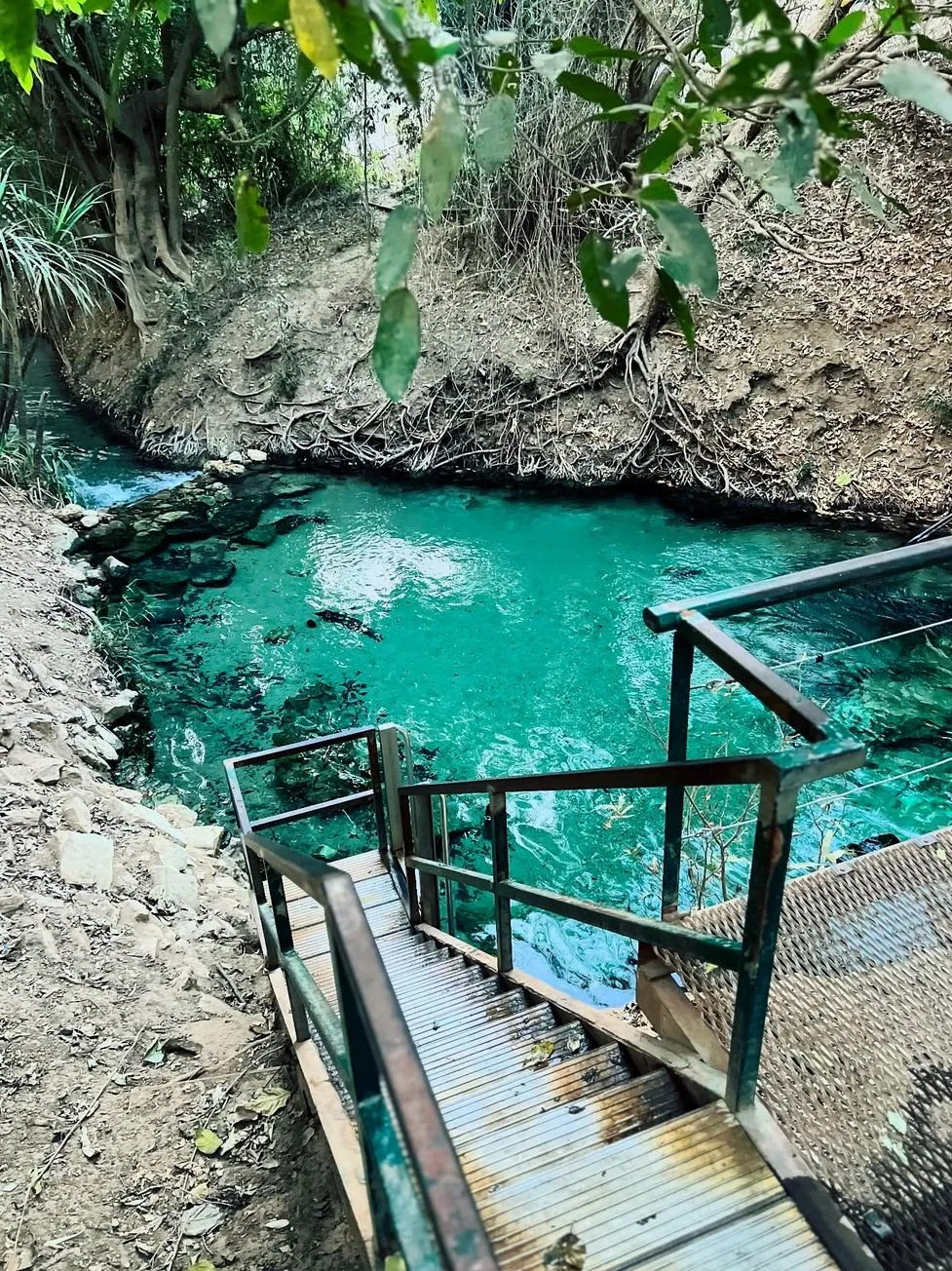 Katherine Hot Springs