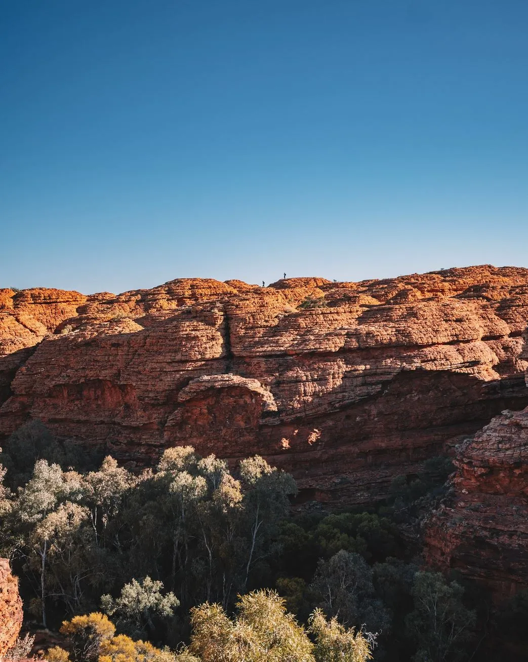 Vixens from Hell | Which Is Better for First-Timers — Uluru or Kings Canyon in One Day? Kings Canyon Cultural Context