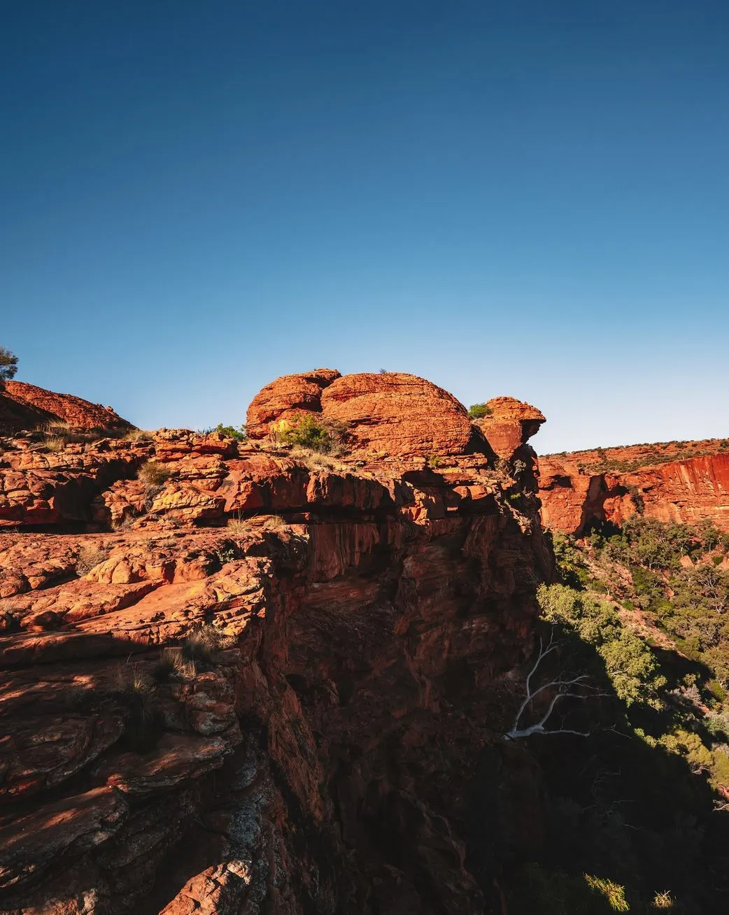 Vixens from Hell | Which Is Better for First-Timers — Uluru or Kings Canyon in One Day? Kings Canyon Guided Walks and Tours