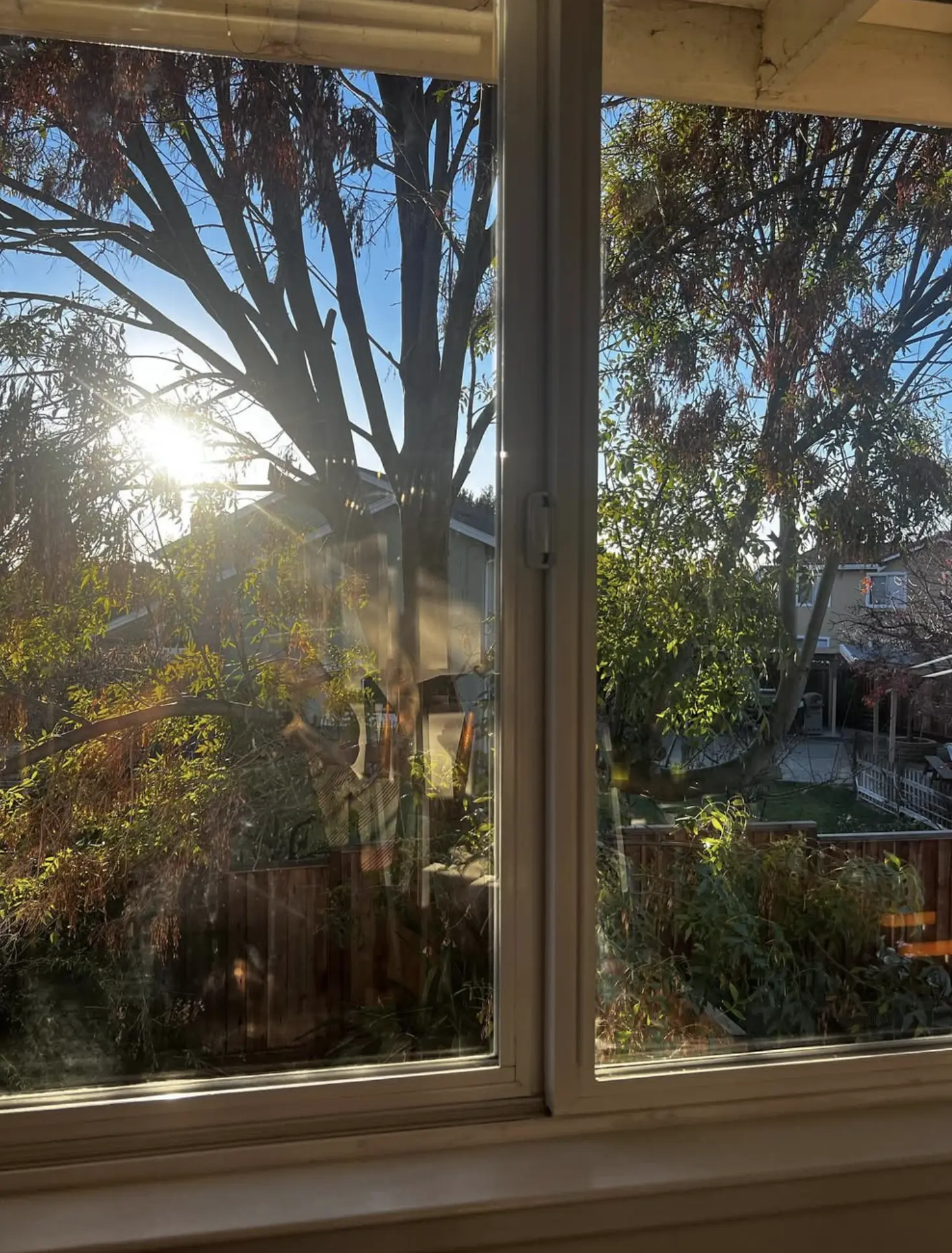 Residential window cleaning