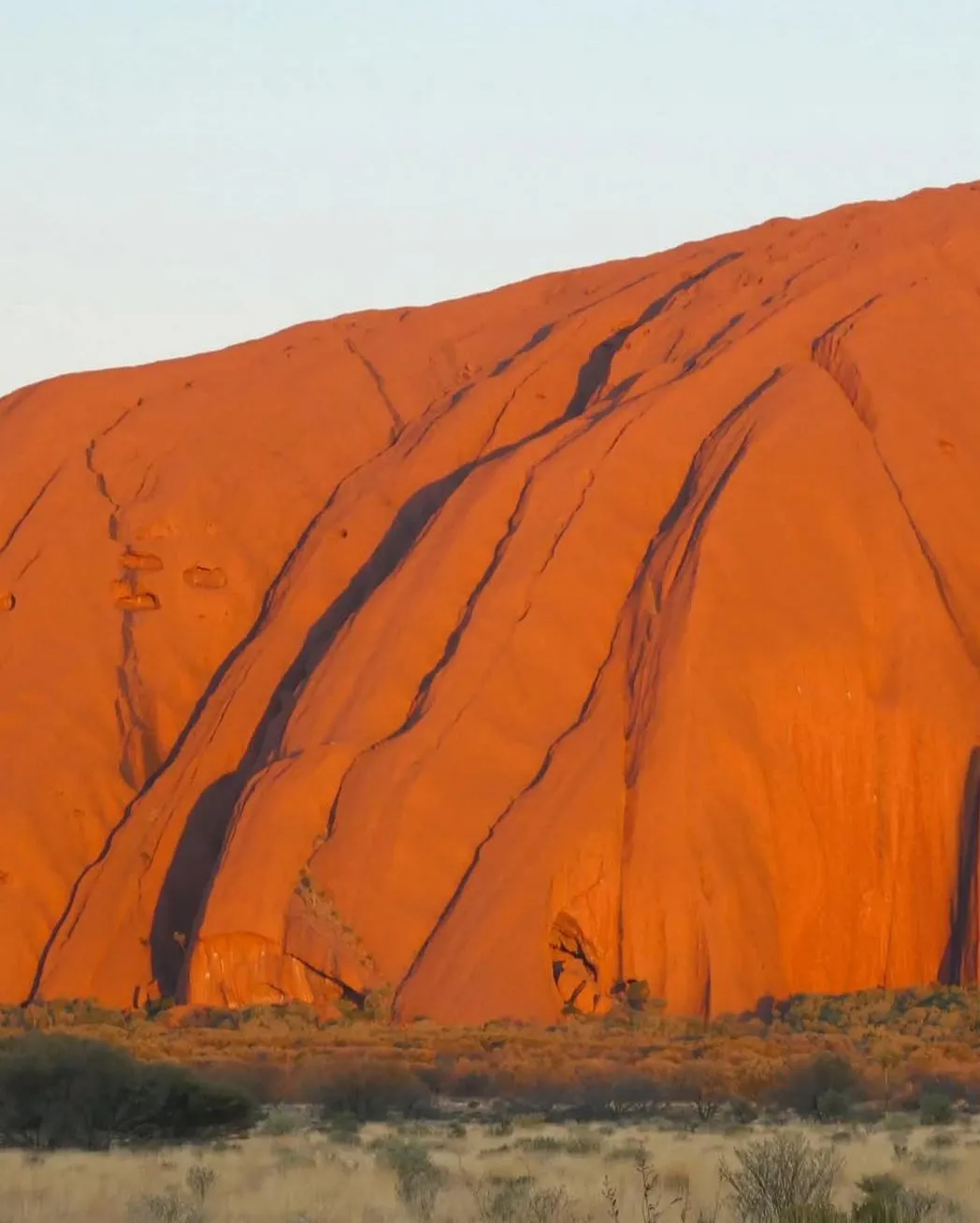 Vixens from Hell | Which Is Better for First-Timers — Uluru or Kings Canyon in One Day? Route & Travel Logistics You Can Bank On