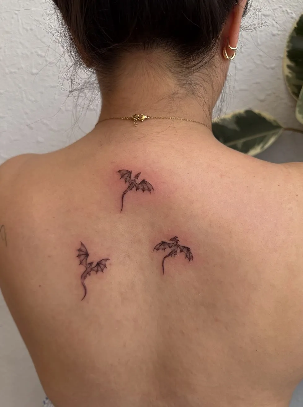 Vixens from Hell | What Should You Look for in a Fine Line Tattoo Course? Theory Isn’t Enough