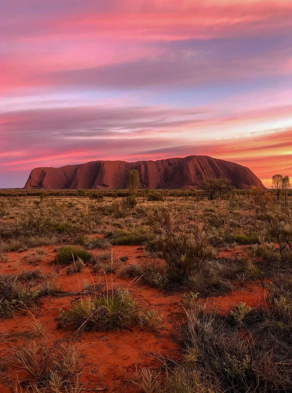 Vixens from Hell | Is There a Bus from Uluru to Alice Springs? Understanding the Red Centre Route