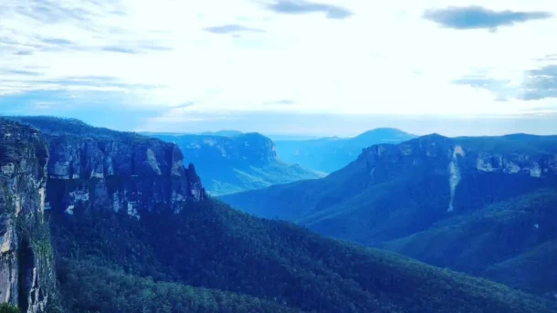 What animals can you see in the Blue Mountains