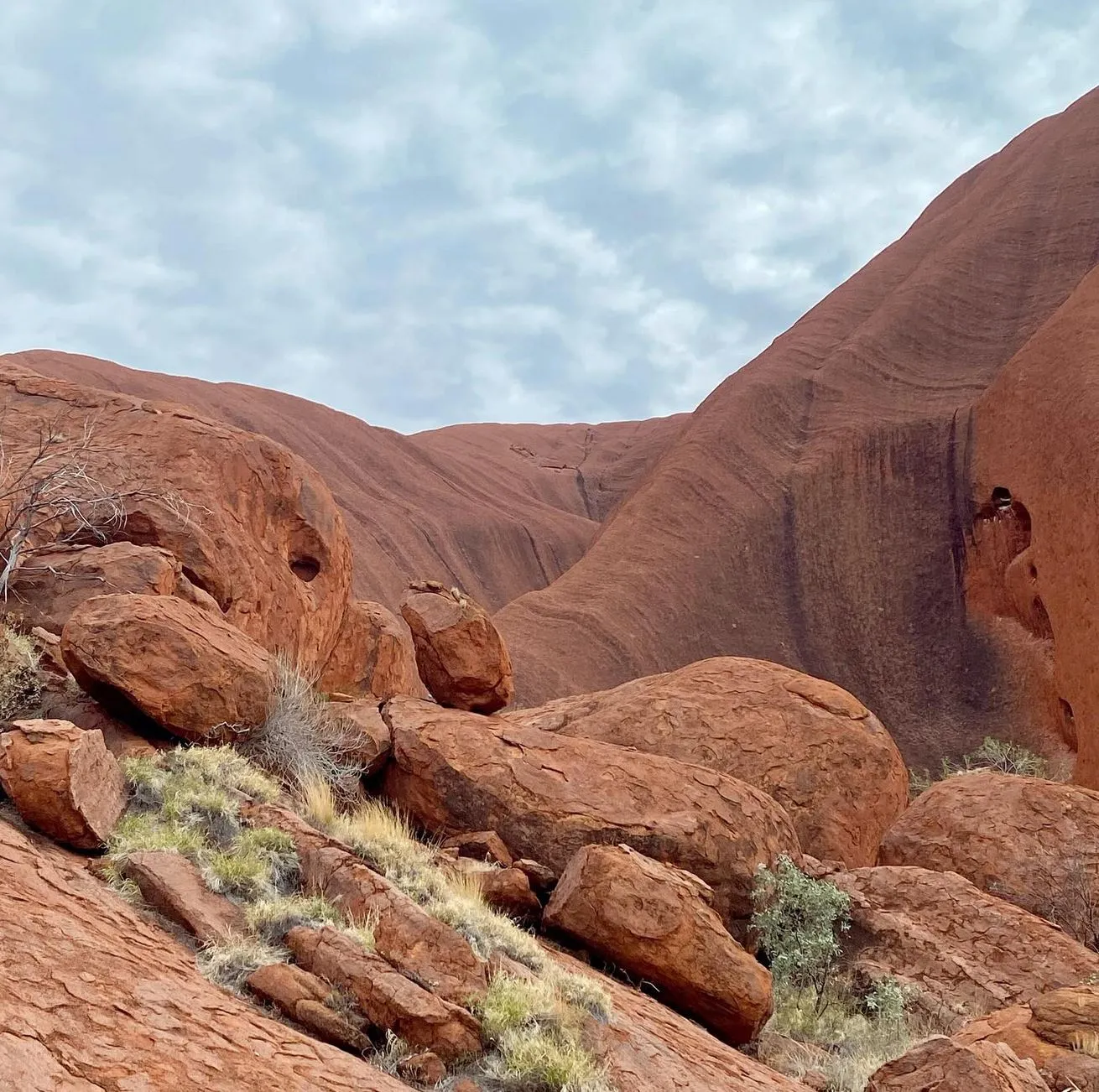 Vixens from Hell | Is There a Bus from Uluru to Alice Springs? What to Pack for Your Trip