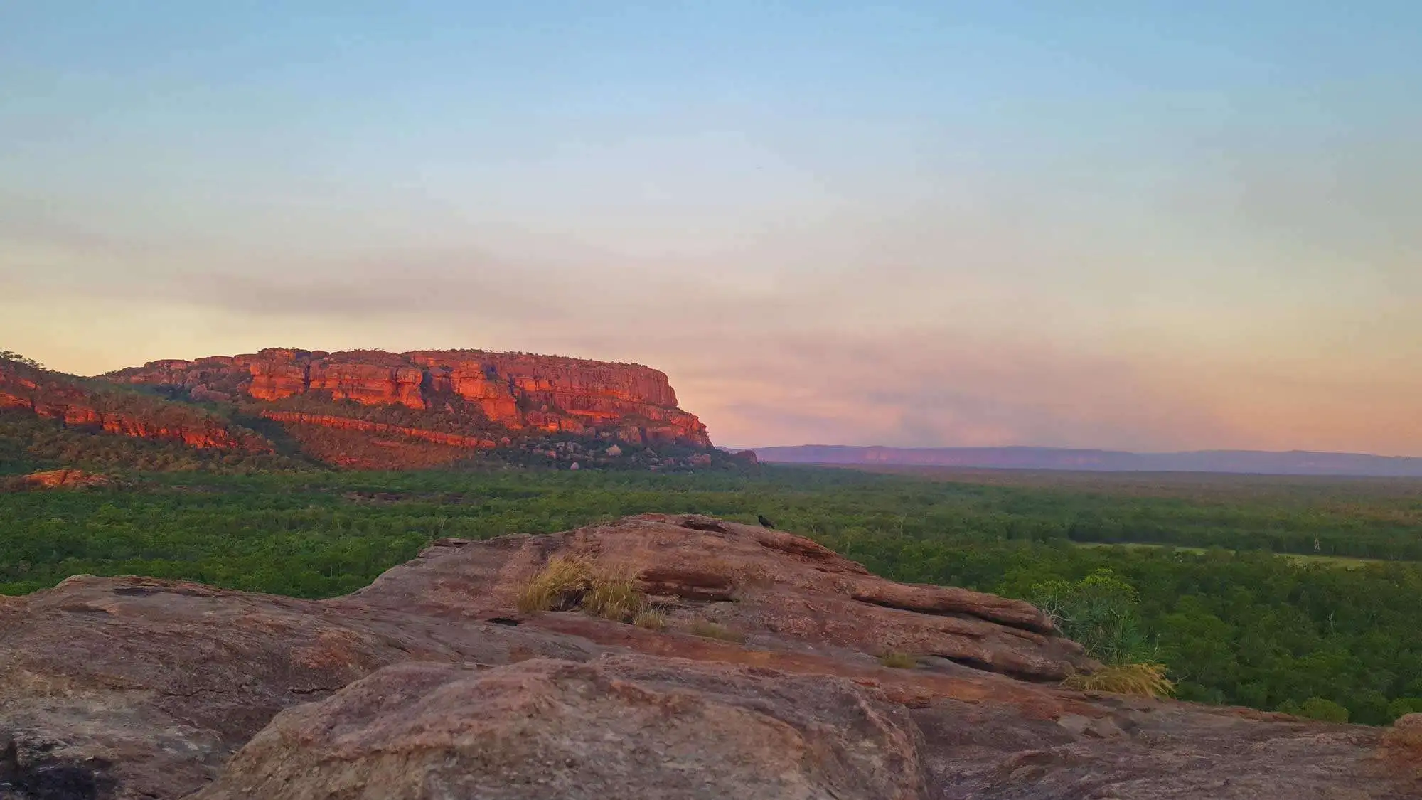 Discover the Wonders of Kakadu on a 2-Day Expedition