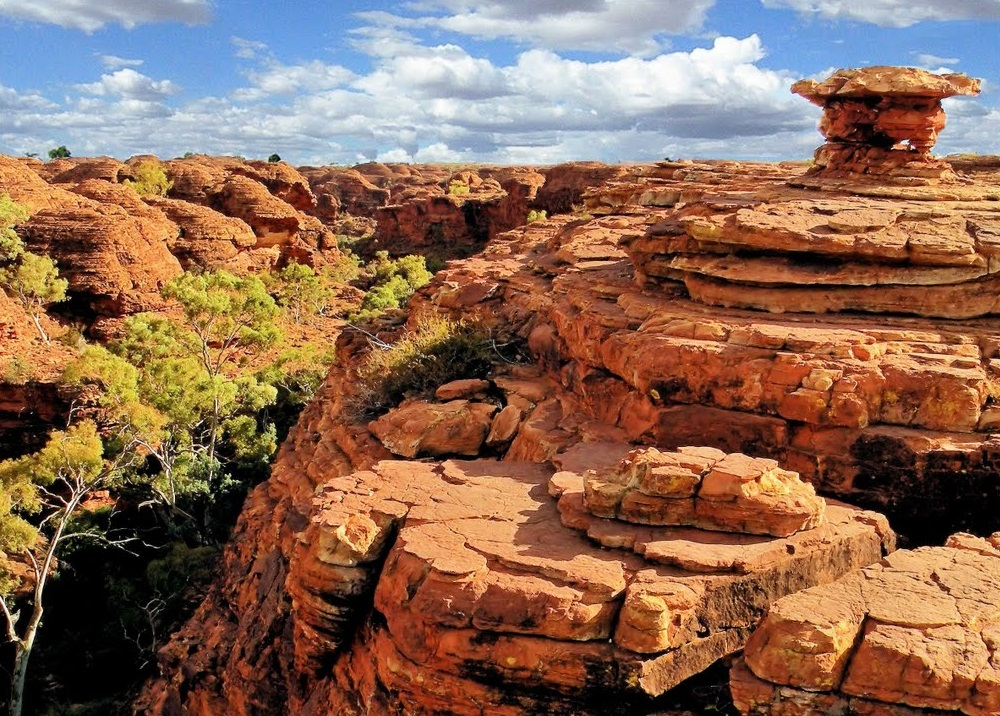 Embark on a Unforgettable Journey: Kings Canyon Tour Unveiled