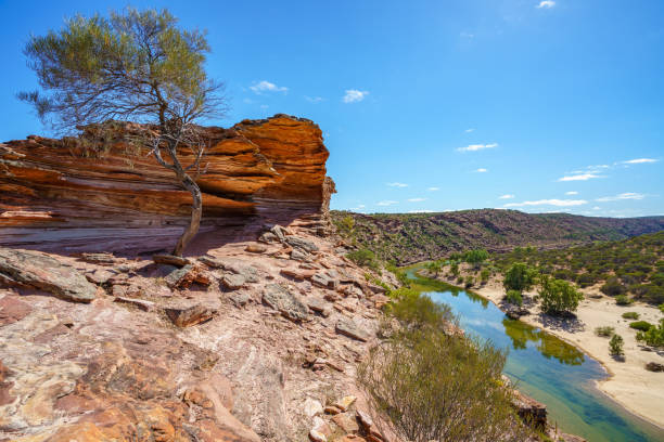 Experience the Beauty of Litchfield National Park with a Day Tour