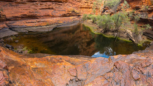 Vixens from Hell | Discover the Best Stay Options for Your Litchfield National Park Tour