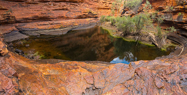 Vixens from Hell|Discover the Best Stay Options for Your Litchfield National Park Tour