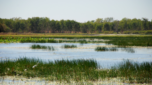 Vixens from Hell | Exploring Kakadu National Park's Rich History & Indigenous Culture