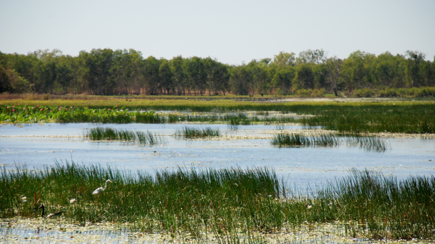 Vixens from Hell|Exploring Kakadu National Park’s Rich History & Indigenous Culture