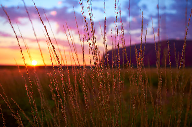 Unforgettable Uluru: A 48-Hour Escape